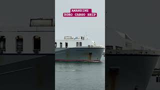 AMANDINE | RoRo Cargo Ship | Flag Malta | Spotted Rotterdam Europort Netherland 🛟⚓️ #marinoph #ofw