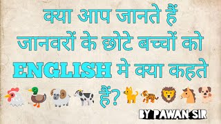 Words Indicating Young Ones Of Animals ll जानवरों के छोटे बच्चों के नाम ll  Animals babies name ll