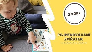 Pojmenovávání zvířátek - 23. dubna 2024