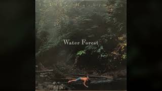 [1997] Ichiko Hashimoto – Water Forest [Full Album]