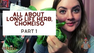 The Real Long Life Herb Secret