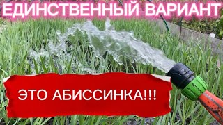 СКВАЖИНА ВОЗЛЕ КОЛОДЦА. ЗАСУХЕ БОЙ!!!