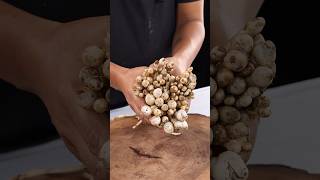 Original Forest Mushroom #shorts #cooking #food #forest #mushroom