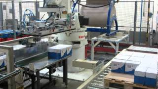 RFA Kawasaki Robotpalletiser with vacuum gripper for boxes