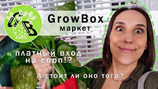 GrowBox маркет/Платный вход на своп/Что я принесла со свопа и маркета.