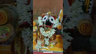 Rath Yatra 2024 #jagannath #jagannathsnanyatra2024 #shorts #rathyatravlog #rathyatrashort #anganvlog