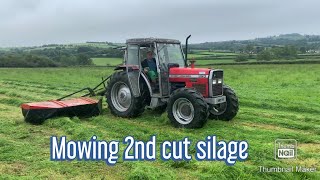 Mowing silage 2nd cut with Massey Ferguson 390 turbo!!