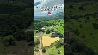 Fazenda de 316 alqueires (1.530 hectares) em Niquelândia GO 🐮 #fazendasavenda #agro #gado