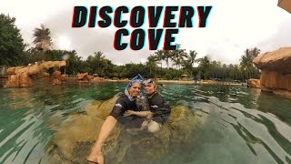 Swimming with Dolphins @ Discovery Cove