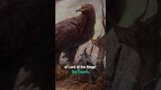 Solving LoTR’s Eagle Problem