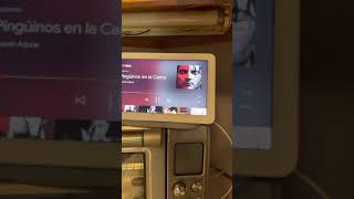 Google Nest Hub and music