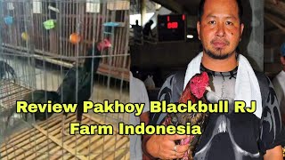 Review Blackbull di RJ Farm Indonesia