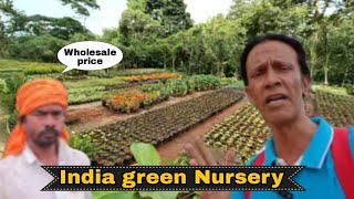 Wholesale nursery and Farm🪴😱 |in kengeri @SyedIbrahimVlogs22