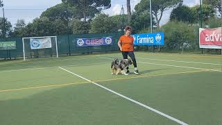 Test PRO-DD 14.06.2023 - 3° Dog Sport Experience