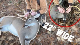 HUGE 4 point DOWN! Super wide! (Rifle Season opener)