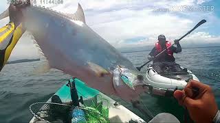 License Talang (queen fish) jigging 2020 - Kayak fishing kota kinabalu sabah malaysia- Lybideo#01