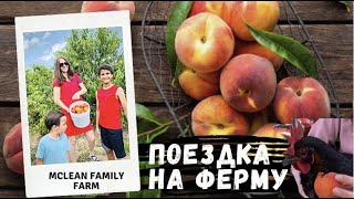 На ферме McLean Family Farm собираем персики!