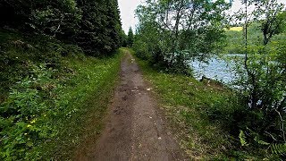 Hiking Guide: Forest hike to Tussvatnet in Bodø