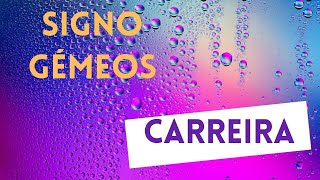 Signo Gemeos - Carreira