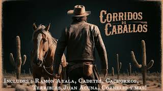 Corridos De Caballos - Ramon Ayala / Cadetes / Terribles / Dos De Tamaulipas / y mas