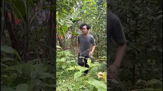 Pemulung Masuk Hutan Angker Mencari Mainan yang Hilang