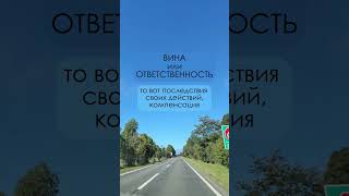 Вина или ответственность? давайте разбираться #shorts