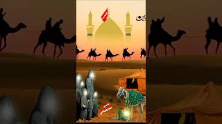 Karbala ka bakiya 😢#videoshort #yaali #viralshort