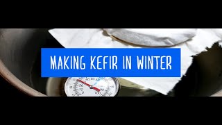 Making Kefir in Winter with Maintenance Free Kefir Culture and an Aquarium Heater