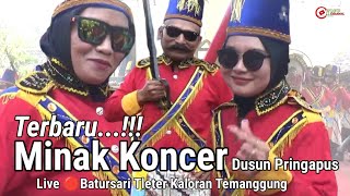 TERBARU....!!! MINAK KONCER||NO AUDIO||DUSUN PRINGAPUS LIVE BATURSARI TLETER KALORAN TEMANGGUNG