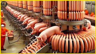 Máquinas modernas de processamento de tecnologia de alimentos que são insanas | Linha Processamento