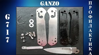 Ganzo G717 ПРОФИЛАКТИКА