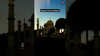 Mystery Facts Taj Mahal #shorts #mystery #mysteryfacts