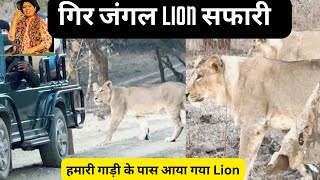 Gir Lion Safari | Gir National Park | Sasan Gir Gujarat | Jangal Safari (EP-1) | Wildlife