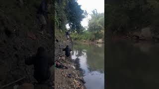 mancing ikan Tawes sirif merah.Trik ngumbul spot cadas leuwi Tonjong #mancing #shortvideo #shorts