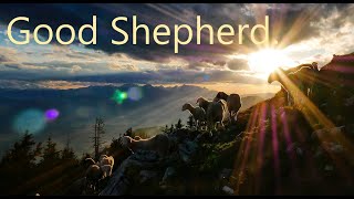 The Good Shepherd | John 10:11-18