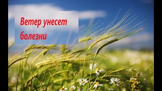 ВЕТЕР УНЕСЕТ БОЛЕЗНИ. Стихийная магия  #магия #стихия #ветер#болезни #заговор