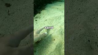 wow sand