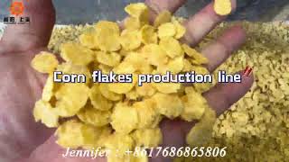 compelet 100-150 kg corn flakes production line / cornflakes extruder machine / Jinan Sunrising