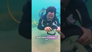 ¿Cómo quitarse, volverse a poner y vaciar la mascara de buceo bajo el agua?