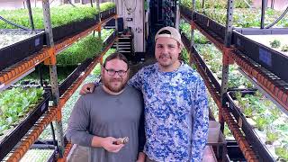 Hydroponic LED Microfarm: Vertigrow Produce - Active Grow LED Grow Lights for Lettuce & Microgreens