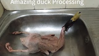 Amazing duck processing before cook...👍😋