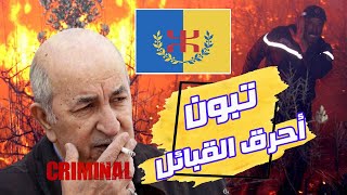 لماذا لا تريد الجزائر أن تنطفئ الحرائق؟النظام العسكري فقد صوابه بٱتهامه المغرب...