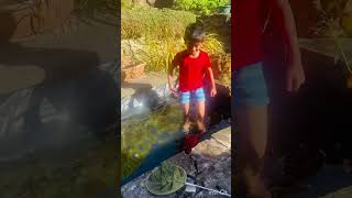 kids playing with fish #fish pond at home/after clinging #shortvideo #uktamil #unitedkingdom