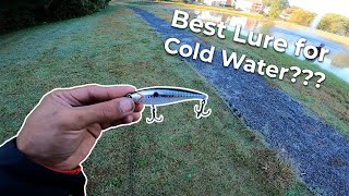 Is this the best lure for fishing cold water??? (W/@JoshAndPril )