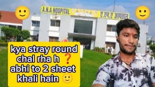 Stray round seat blank hai bsc nursing #@anacollege1603 #viral#bscnursing #medico#life👍🥺