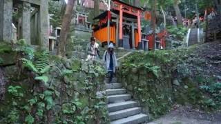 Fushimi Inari Shrine Kyoto. JAPAN