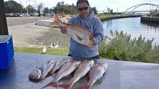 Snapper Smackdown  Steve Come's Fishing  Peak Season Fishing Fun