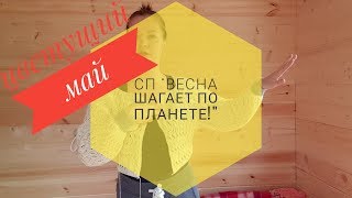 Цветущий май/Отчёт N8/СП "Весна шагает по планете!" Кардиган