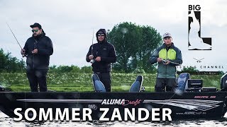 Sommer Zander - Inferno in der Dämmerung - Angeln auf Barsch und Zander mit Big L