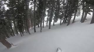 Palisades Tahoe (Olympic Valley): Paris Glades 1/27/21